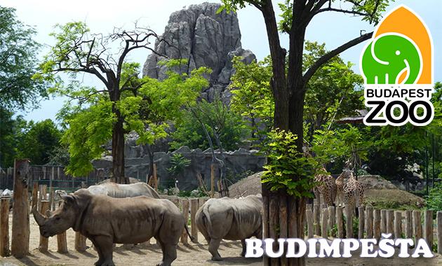 budimpesta-zoo-2.