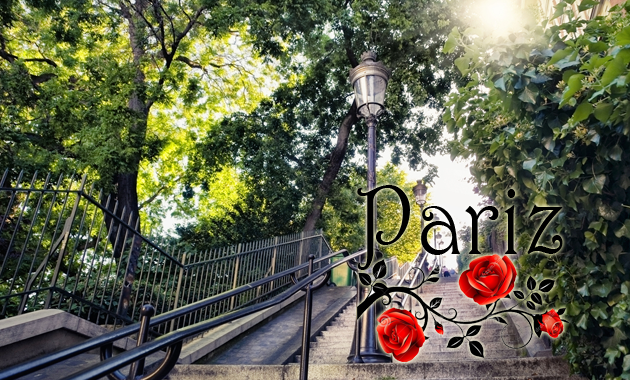 PARIZ(1)